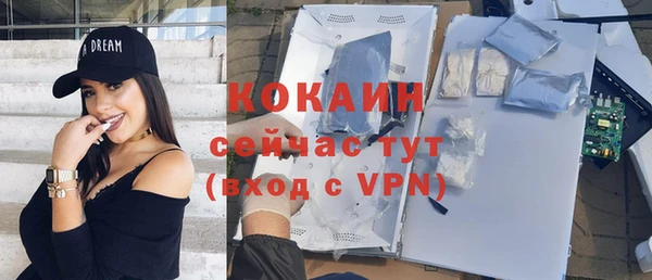 сатива Беломорск