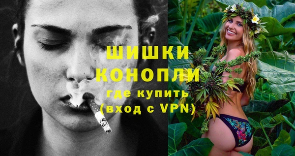 дурь Инсар