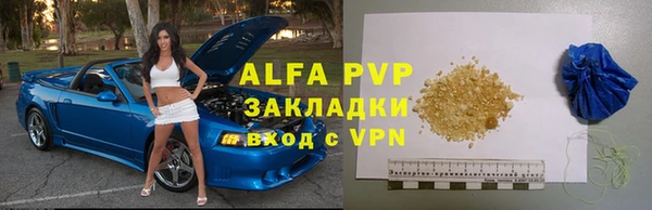 сатива Беломорск