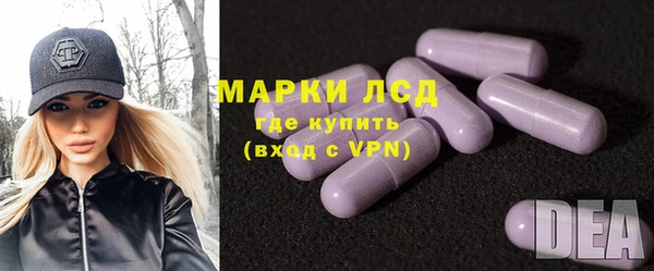 сатива Беломорск