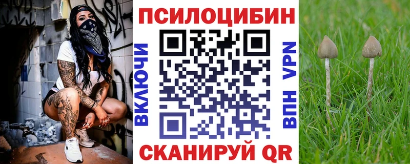 blacksprut ссылки  Киренск  Псилоцибиновые грибы Psilocybe 